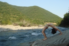 DSC05529